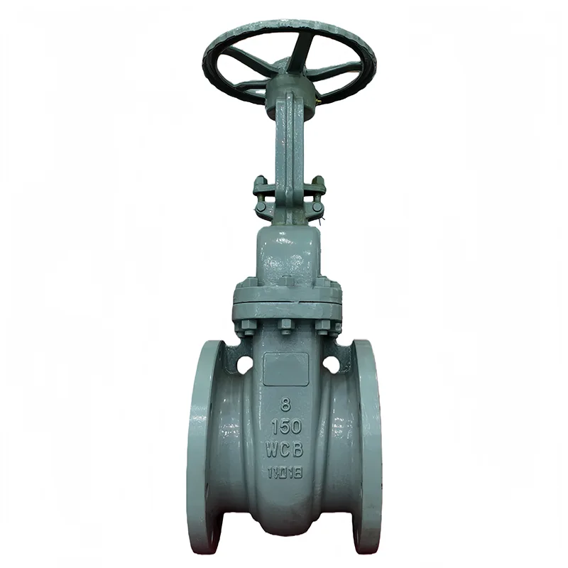 Birta Kaarboon ANSI Flange Gate Valve