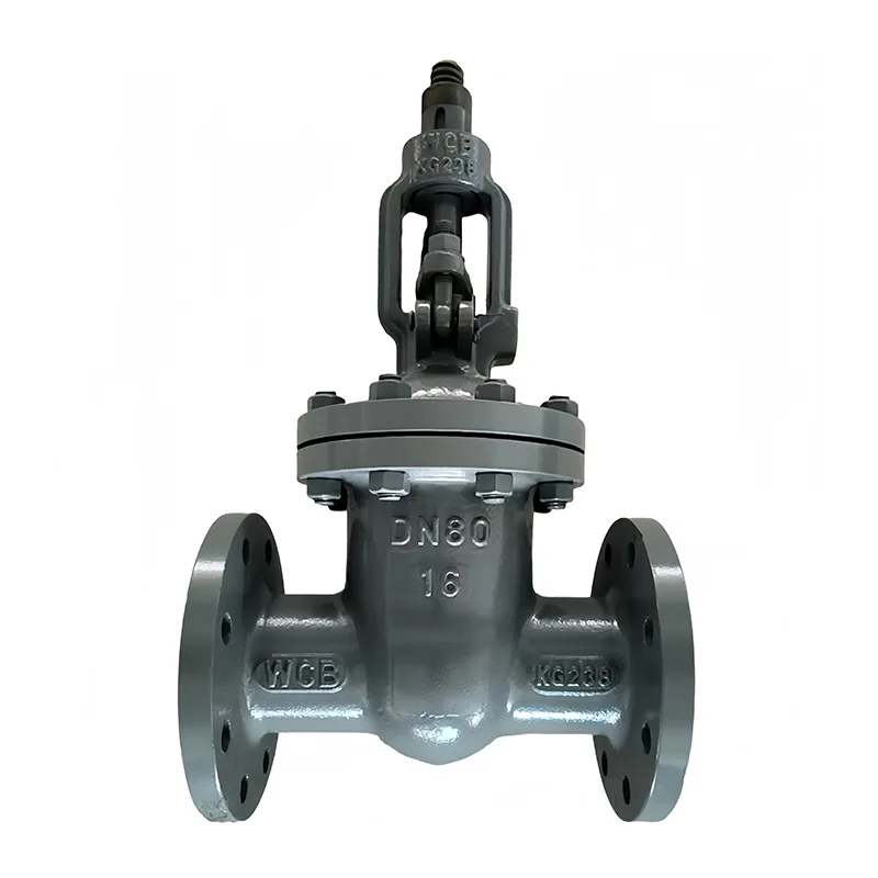 Kaarboon Steel Flange Gate Valve