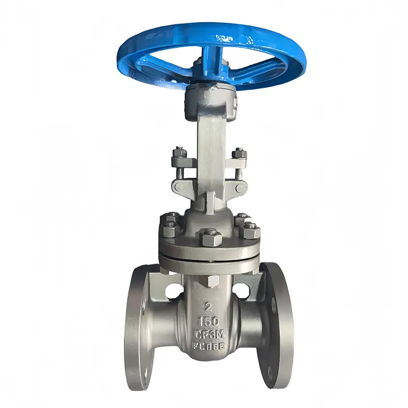 Birta Aan Lahayn 316L Flanged Gate Valve