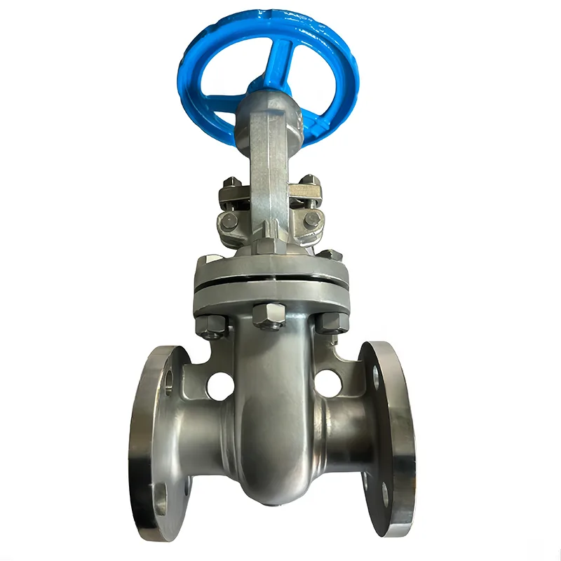 Birta Aan Lahayn API Valve Gate