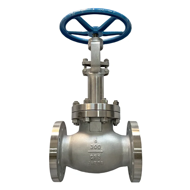 Birta Aan Lahayn Flange Globe Valve