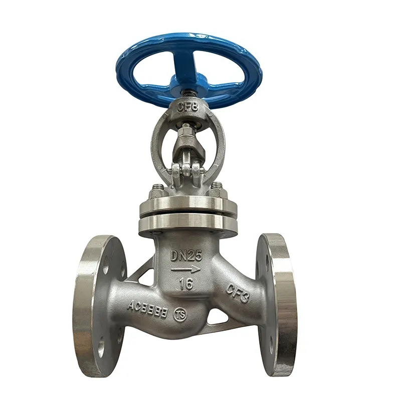 Birta Aan Lahayn Globe Valve Flanged End